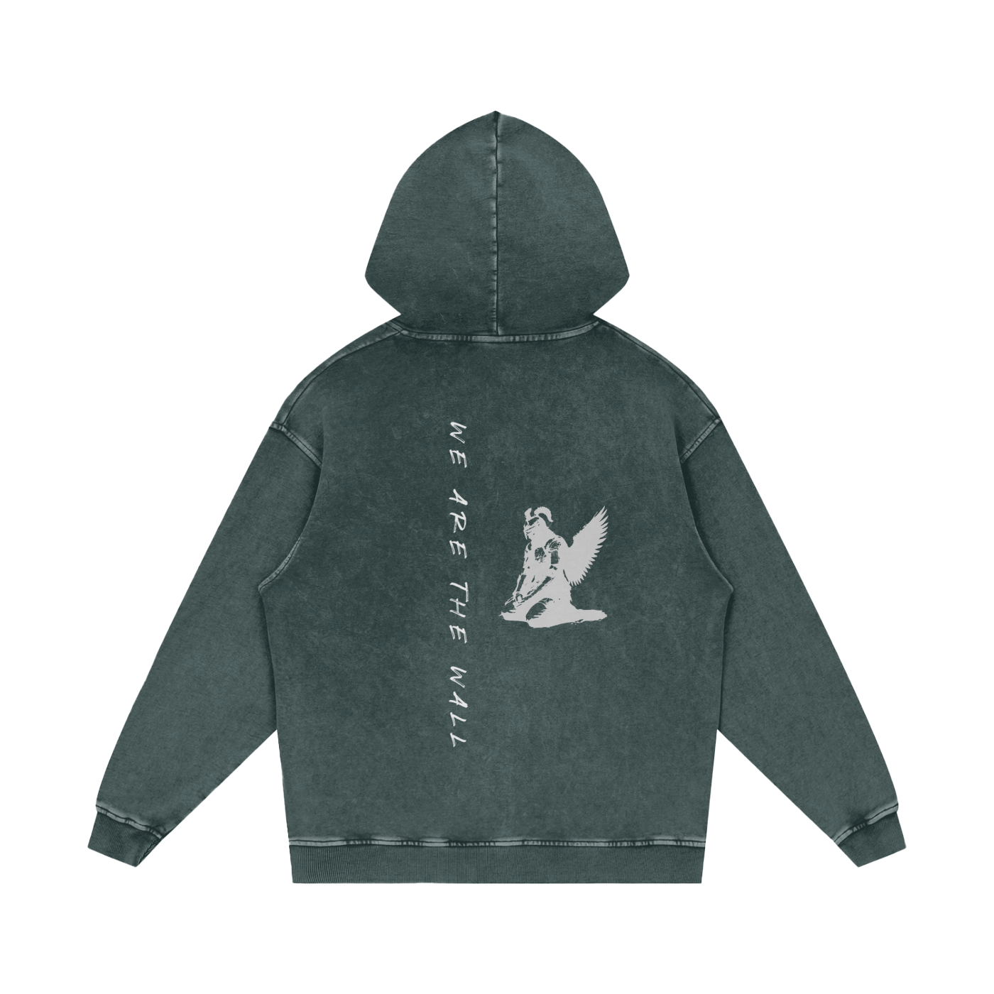 WE ARE THE WALL - SNOW WASHED HOODIE